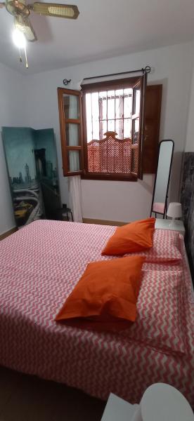 Apartamento Santa Cruz 3